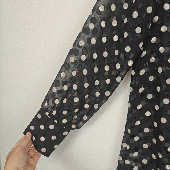 THE SHIRT By Rochelle Behrens Long Sleeve Polkadot Chiffon Mini Shirt Dress Sz S - Picture 8 of 14